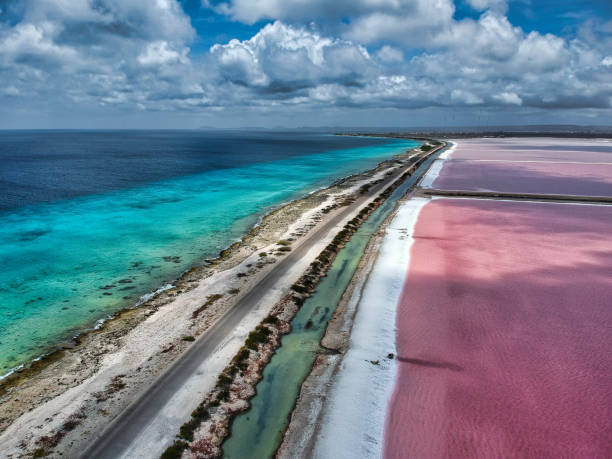 Bonaire Pink Beach, Caribbean