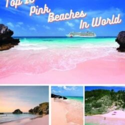 top 10 pink beaches in the world